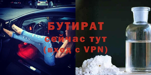 амф Ельня