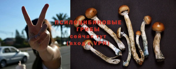 не бодяженный Елабуга