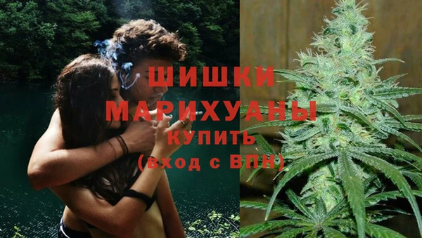 амф Ельня