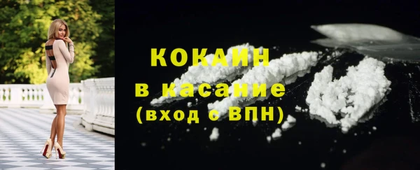 амф Ельня