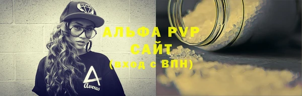 амф Ельня