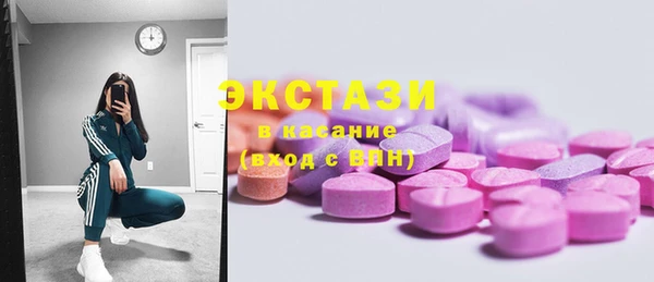 амф Ельня