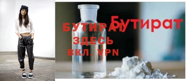 амф Ельня