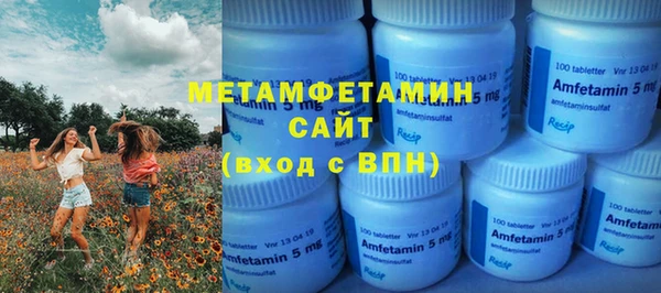 амф Ельня