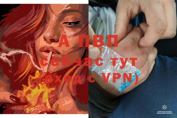 не бодяженный Елабуга