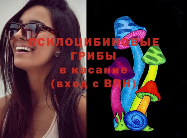 метадон Елизово
