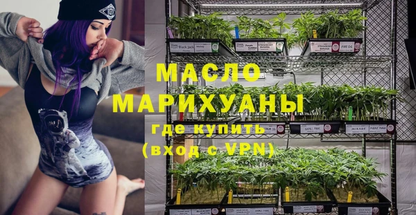 амф Ельня