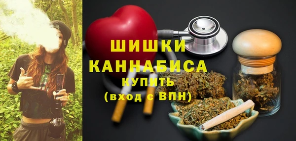 амф Ельня