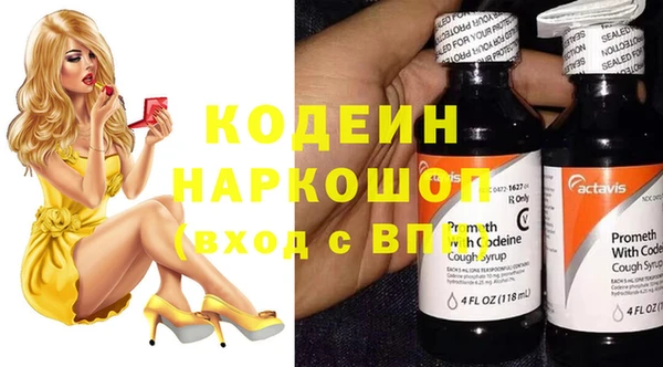 амф Ельня