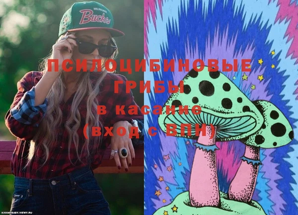 амф Ельня