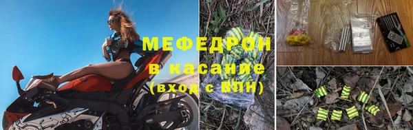 амф Ельня