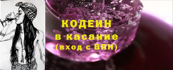 амф Ельня