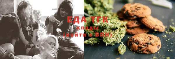 амф Ельня