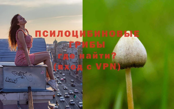 mdpv Всеволожск